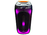 Eden Party Speaker ED-1015