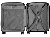 WENGER Pegasus Carry On Grey