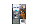Epson Singlepack DURABrite Ultra Ink