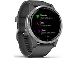 Garmin Vivoactive 4 / 010-02174 / Grey