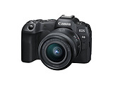 Canon EOS R8 + RF 24-50 f/4.5-6.3 IS STM