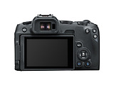 Canon EOS R8 + RF 24-50 f/4.5-6.3 IS STM