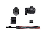 Canon EOS R8 + RF 24-50 f/4.5-6.3 IS STM