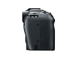 Canon EOS R8 BODY