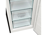 GORENJE FN619FES5