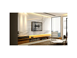 Reflecta PLANO Flat 70-6040 Black