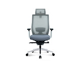OEM Cosm 262A Office Chair