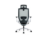 OEM Cosm 262A Office Chair