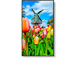 NEC M651 / 65 UHD E-LED