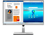 Lenovo L24m-40 / 23.8 IPS FullHD 100Hz