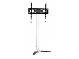 Reflecta 80 Super Slim / TV Mount Stand