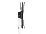 Reflecta 80 Super Slim / TV Mount Stand