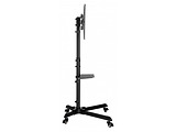 Reflecta 55P-Shelf / TV Mount Stand