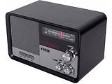 Noveen Portable Radio PR950
