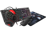 Genesis Cobalt 330 Combo / NCG-1469