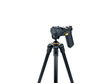 Vanguard VESTA 203AGH