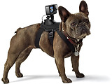 GoPro ADOGM-001 / Dog Harness
