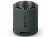 SONY SRS-XB100