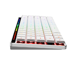ASUS ROG Falchion RX