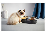 PETKIT Fresh Nano Metal Feeding Bowl
