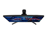 ASUS ROG Strix XG32UQ / 31.5 IPS UHD 165Hz