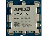 AMD Ryzen 5 9600X