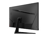 MSI G321Q / 31.5 WQHD IPS 170Hz