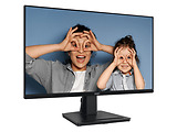 MSI PRO MP251 /24.5 IPS 100Hz