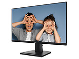 MSI PRO MP251 /24.5 IPS 100Hz