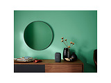 Google Nest Audio / 30W Grey