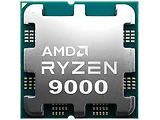 AMD Ryzen 9 9900X