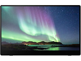 Ricoh 150BW / 15.6 FullHD OLED