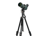 Vanguard VESTA GO 264AV12