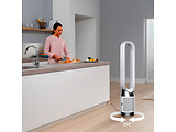 Dyson TP 11