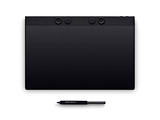 Wacom Intuos Pro Large