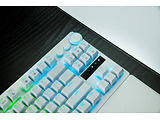 Razer RZ03-04981700-R3M1 / English