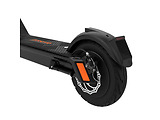 Proove  X-City Pro Max Orange