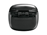 JBL Tune Flex 2 Ghost Black