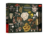 Trefl Puzzles Finders Keepers