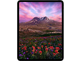 Apple iPad Pro 2025 / 13 Ultra Retina XDR / Apple M5 9-core 10-core GPU / 12GB / 256GB / 10290mAh
