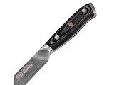 RESTO OGMA 95343