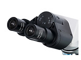 Levenhuk 900B Binocular Microscope