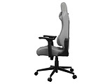Cougar EXPLORE Royal F Gaming Silver