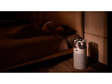 Dyson HJ10