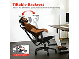 LumiVida Ergonomic Office LV-CH05-40
