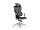 LumiVida Ergonomic Office LV-CH10-26