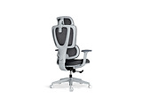 LumiVida Ergonomic Office LV-CH10-26