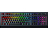 Razer Cynosa V2 / RZ03-03400100-R3M1 English